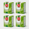 gingko2 Ginkgo Biloba