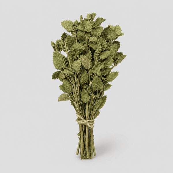 lemon balm Herbal