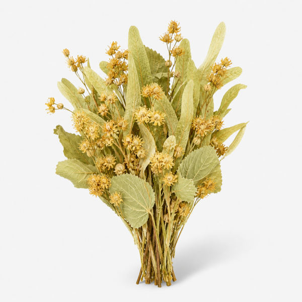 Linden Flower