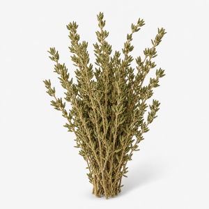 Thyme